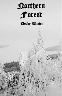 Northern Forest : Cloudy Winter